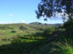 Citrus plantations in the fertile valley 